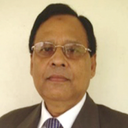 Professor Md Abdul Mannan PhD